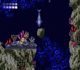ECCO - The Dolphin