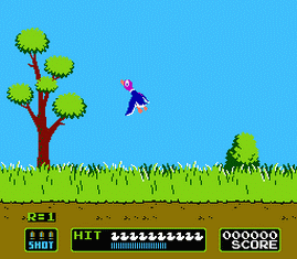 Duck Hunt