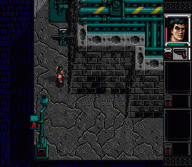 Shadow Run