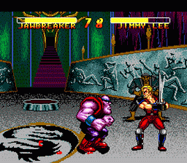 Double Dragon V - The Shadow Falls