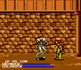 Fighting Masters