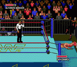 WWF Super Wrestlemania