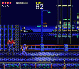 Ninja Gaiden
