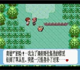 Pocket Monsters - Ruby