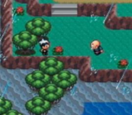 Pocket Monsters - Sapphire