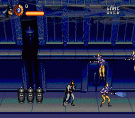 Adventures of Batman and Robin, The