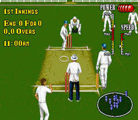 Brian Lara Cricket