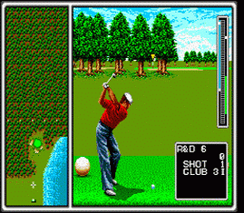 Arnold Palmer Tournament Golf
