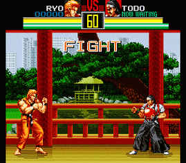 Art of Fighting